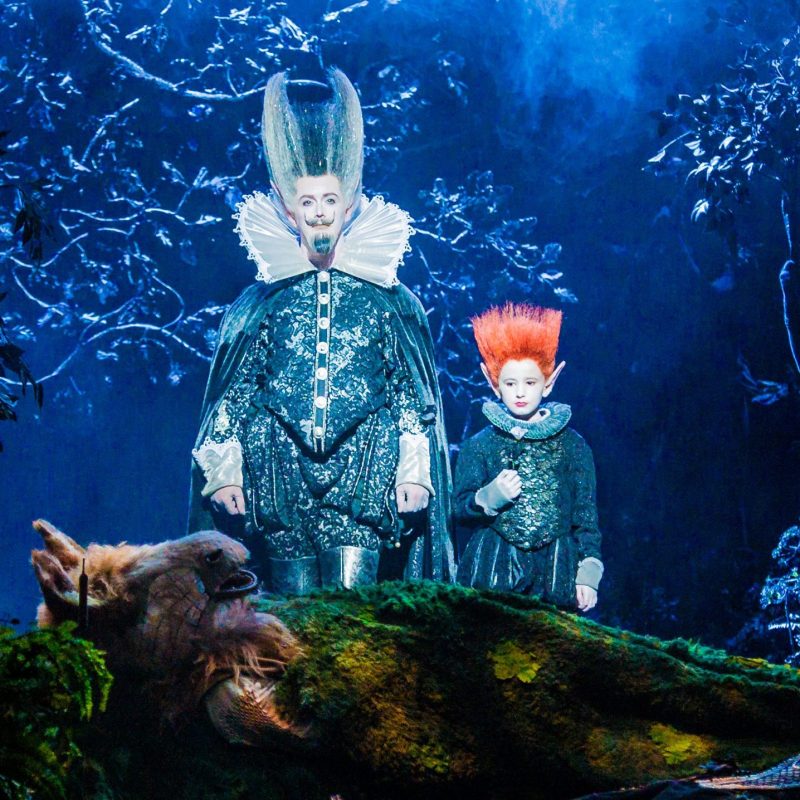 Wigs, Hair, Makeup and Prosthetics Technician (Apprentice)