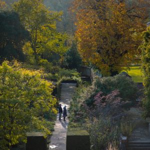 A guide to Autumn 2025