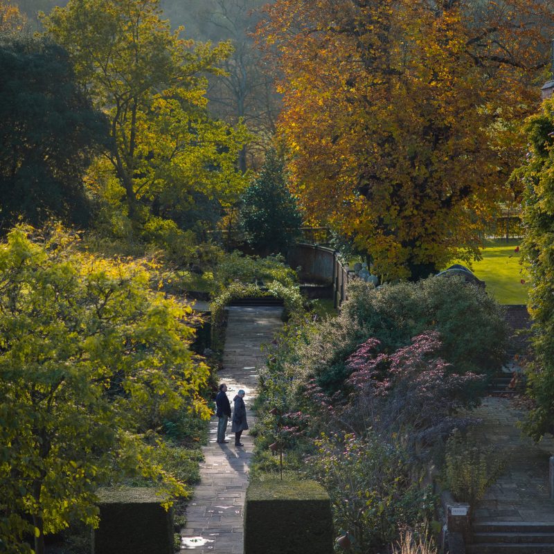 A guide to Autumn 2025