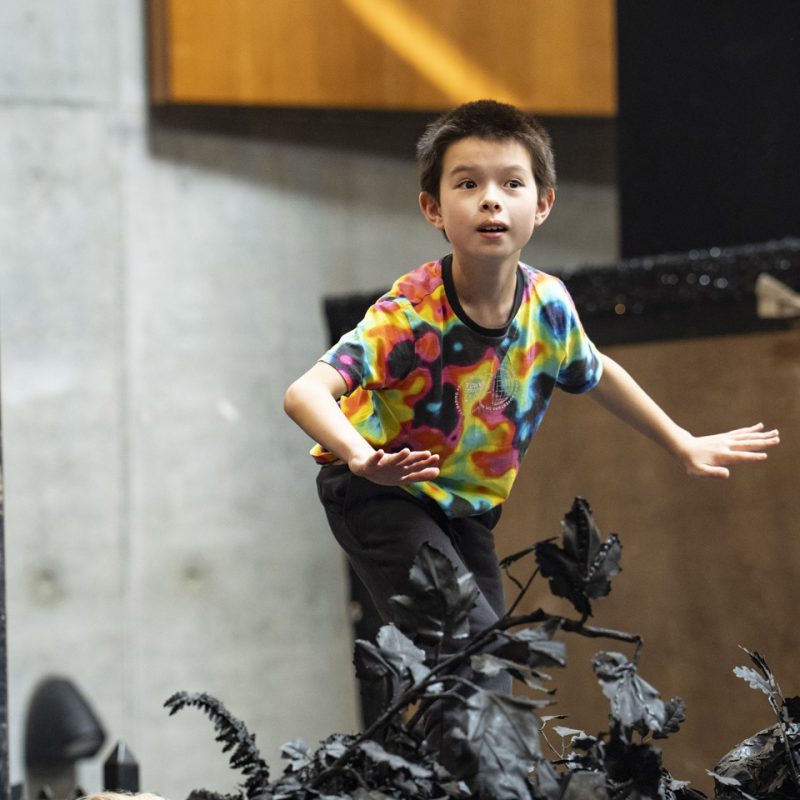 A Midsummer Night’s Dream – rehearsal gallery