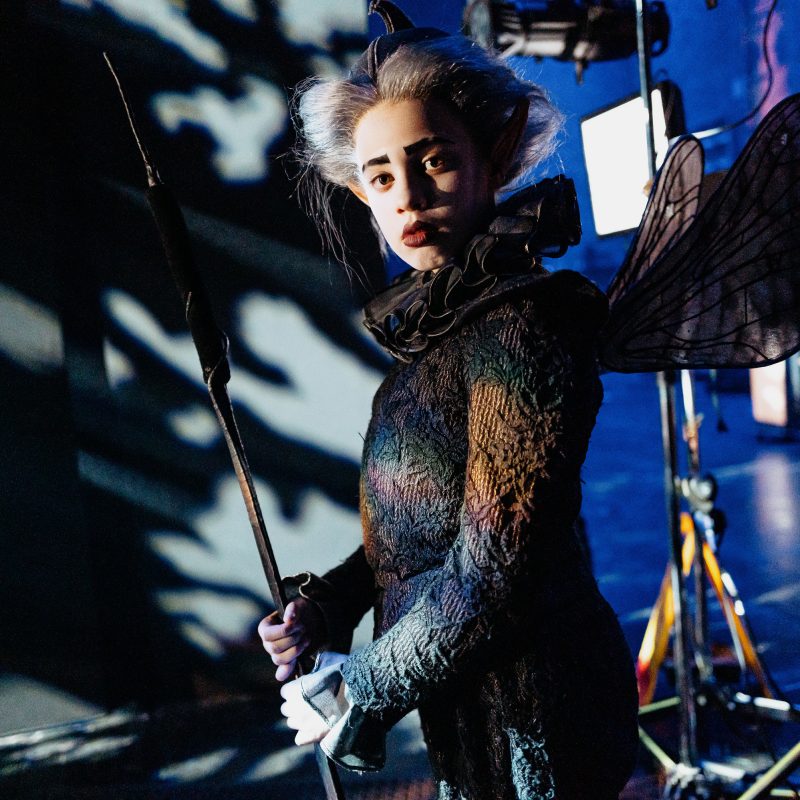 A Midsummer Night’s Dream – behind the scenes