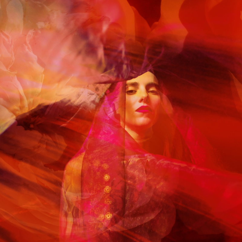 Introducing… Die Entführung aus dem Serail